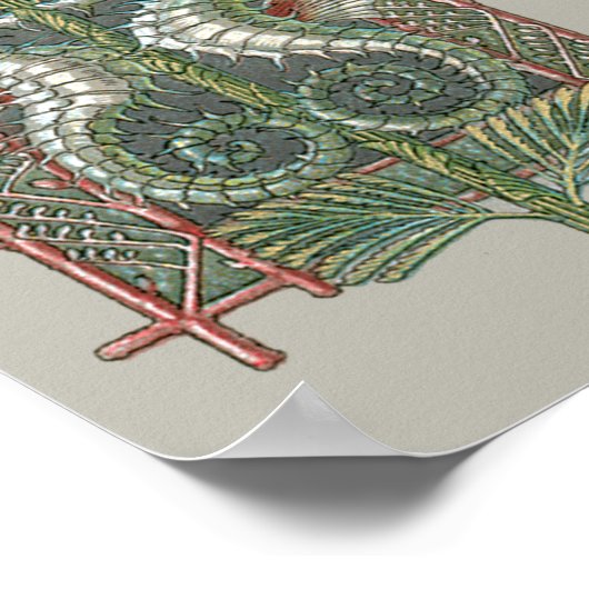 Zeepaardjes en Zeewier,  Art Nouveau Poster (Hoek)