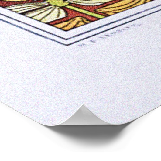 Zeepaardjes, hagedissen, libellen, vlinders poster (Hoek)