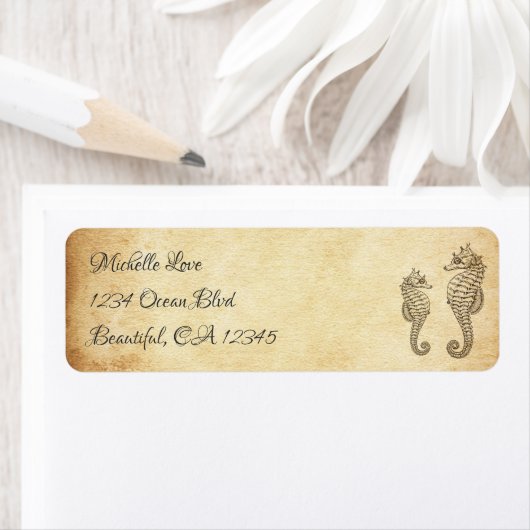  Zeepaardjes Ocean Beach Adres Etiket (Insitu)