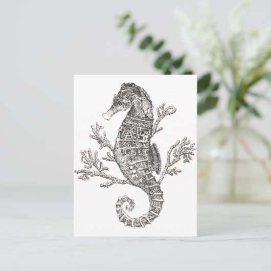 Zeepaardkoraal Briefkaart (Staand voorkant)