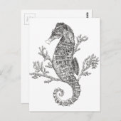 Zeepaardkoraal Briefkaart (Voorkant / Achterkant)