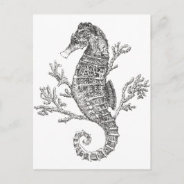 Zeepaardkoraal Briefkaart