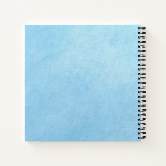 Zeepaardkorst en zeeduivel, Notitieboek (Achterkant)