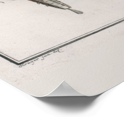  zeepaardtekening retrospectief poster (Hoek)