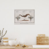  zeepaardtekening retrospectief poster (Keuken)