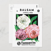  zeepakketlabel Art, Camellia Flowers Briefkaart (Voorkant / Achterkant)