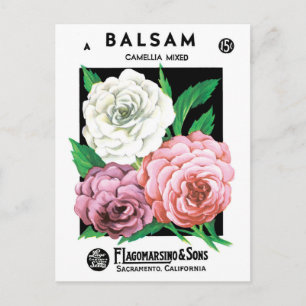 zeepakketlabel Art, Camellia Flowers Briefkaart