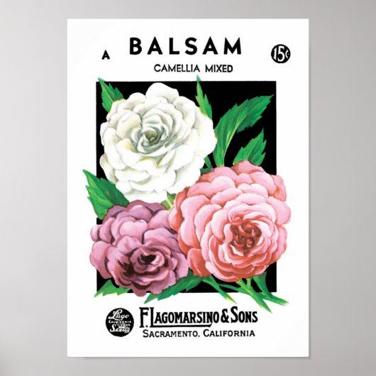  zeepakketlabel Art, Camellia Flowers Poster (Voorkant)