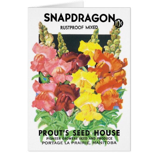  zeepakketlabel kunst, Snapdragon Flowers (Voorkant)