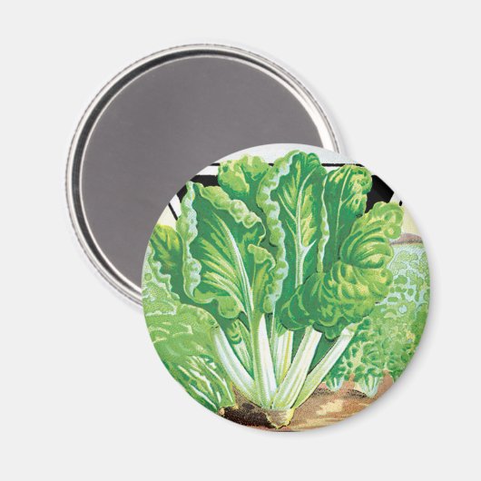 zeepakketlabel kunst, Zwitserse kaardwrakken Magneet (Voorkant / Achterkant)