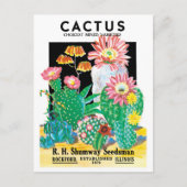  zeepakketlabel Kunstwoestijncactus Planten Briefkaart (Voorkant)