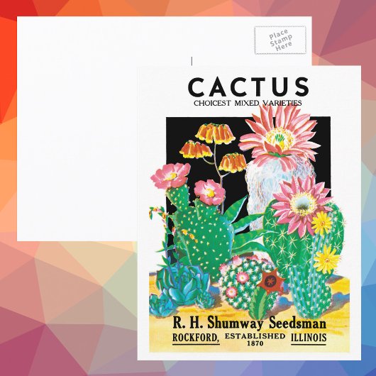  zeepakketlabel Kunstwoestijncactus Planten Briefkaart