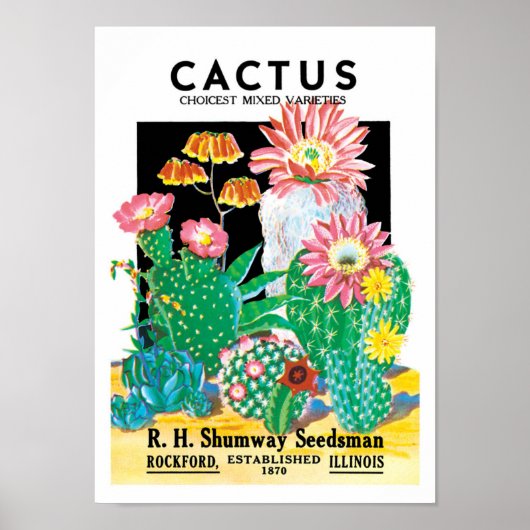 zeepakketlabel Kunstwoestijncactus Planten Poster (Voorkant)