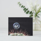 Zeepbel op een cactus briefkaart (Staand voorkant)