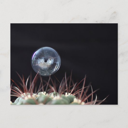 Zeepbel op een cactus briefkaart (Voorkant)