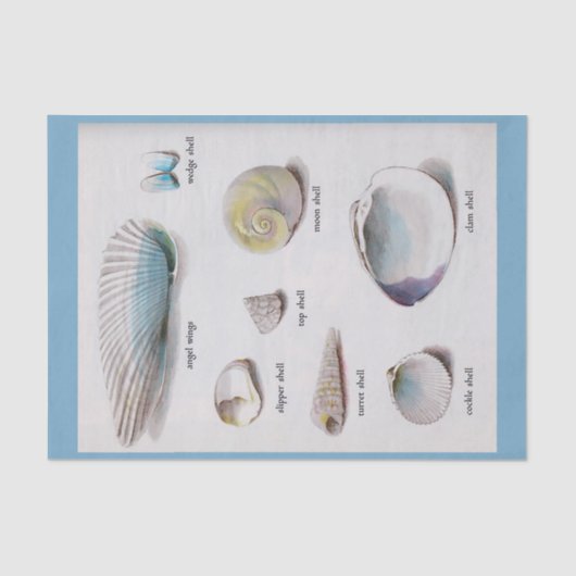 Zeeplanken Natuurlijke pasta's van 10 x 15 inch Pa Tissuepapier (Voorkant)