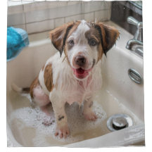 Zeepnat Puppy Bad Douchegordijn