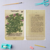  zeeppak Thyme en Instructies Tissuepapier (Craft)