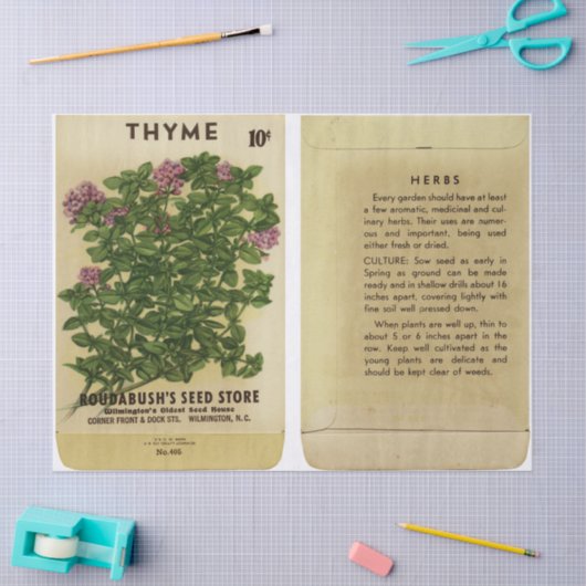  zeeppak Thyme en Instructies Tissuepapier (Craft)