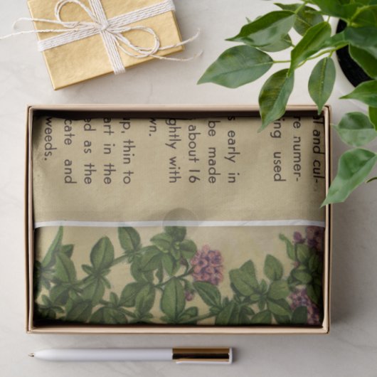  zeeppak Thyme en Instructies Tissuepapier (Geschenk)