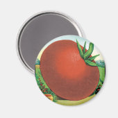  zeeppaket, Burt's snoeptomaat Magneet (Voorkant / Achterkant)