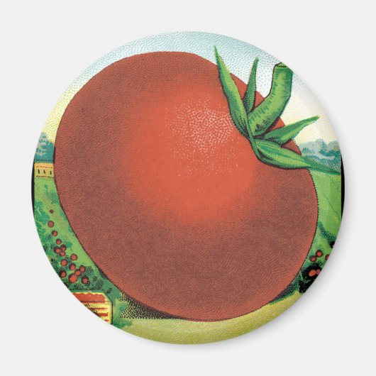  zeeppaket, Burt's snoeptomaat Magneet (Voorkant)