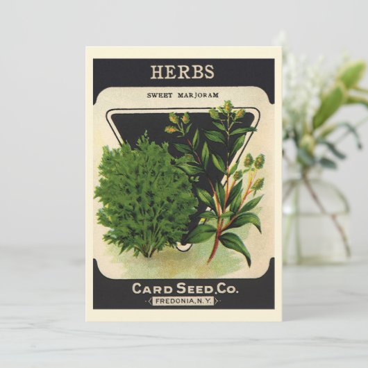  zeeppaket Kunst Sweet Marjoram Herbs (Staand voorkant)