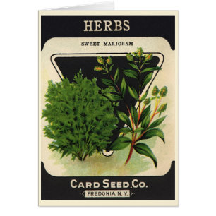 zeeppaket Kunst Sweet Marjoram Herbs