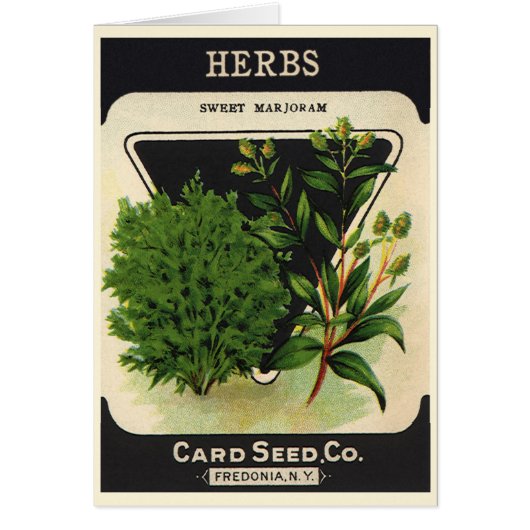  zeeppaket Kunst Sweet Marjoram Herbs (Voorkant)