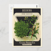  zeeppaket Kunst Sweet Marjoram Herbs Briefkaart (Voorkant / Achterkant)