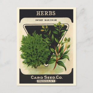  zeeppaket Kunst Sweet Marjoram Herbs Briefkaart