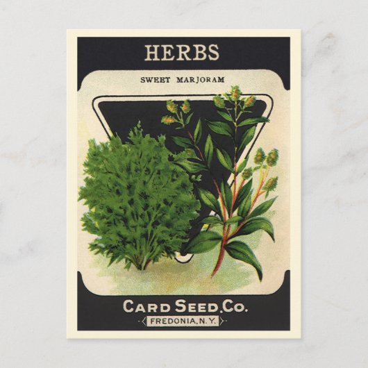  zeeppaket Kunst Sweet Marjoram Herbs Briefkaart (Voorkant)