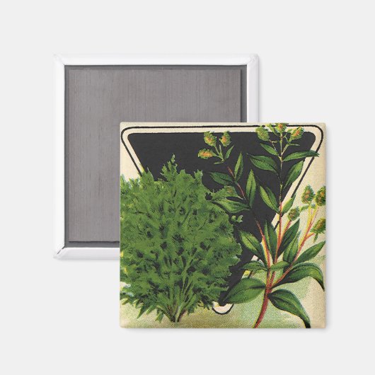 zeeppaket Kunst Sweet Marjoram Herbs Magneet (Voorkant / Achterkant)