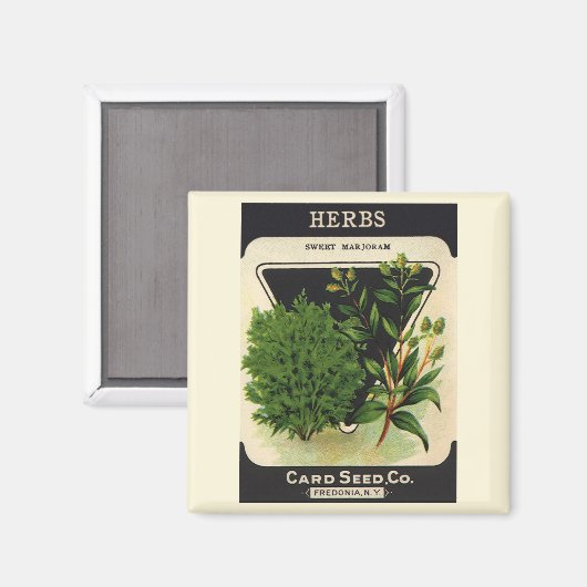  zeeppaket Kunst Sweet Marjoram Herbs Magneet (Voorkant / Achterkant)
