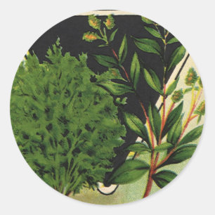  zeeppaket Kunst Sweet Marjoram Herbs Ronde Sticker