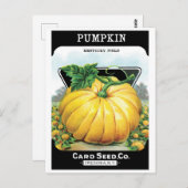  zeeppaketiket art, pompoen briefkaart (Voorkant / Achterkant)