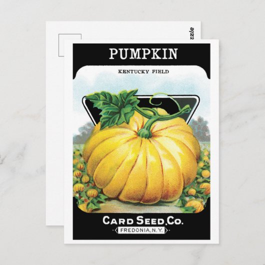  zeeppaketiket art, pompoen briefkaart (Voorkant / Achterkant)