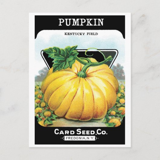  zeeppaketiket art, pompoen briefkaart (Voorkant)