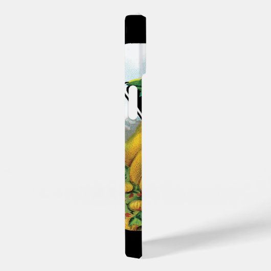  zeeppaketiket art, pompoen Case-Mate iPhone case (Achterkant / Rechts)