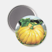 zeeppaketiket art, pompoen magneet (Voorkant / Achterkant)