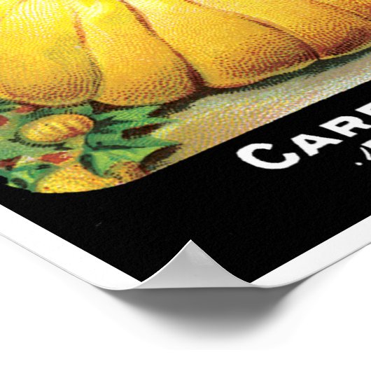  zeeppaketiket art, pompoen poster (Hoek)