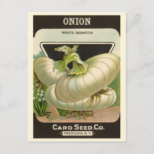 zeeppaketiket Art White Bermuda Onions Briefkaart