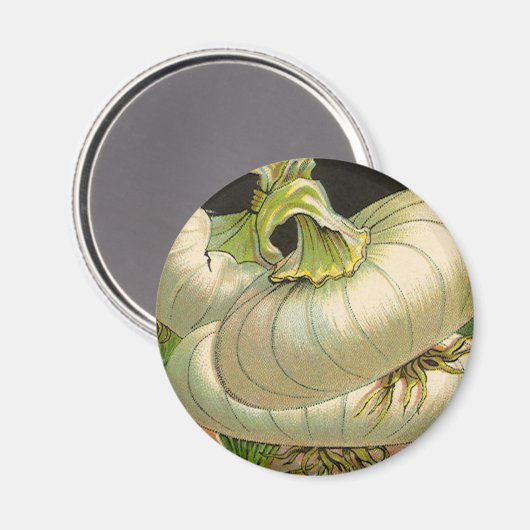  zeeppaketiket Art White Bermuda Onions Magneet (Voorkant / Achterkant)