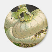  zeeppaketiket Art White Bermuda Onions Magneet (Voorkant)