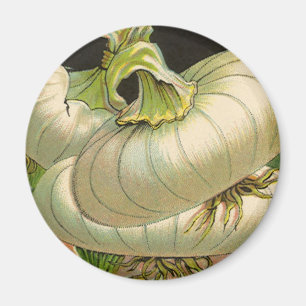  zeeppaketiket Art White Bermuda Onions Magneet