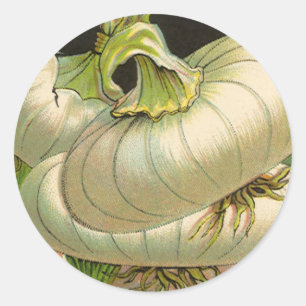 zeeppaketiket Art White Bermuda Onions Ronde Sticker