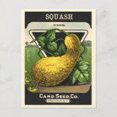 zeeppaketiket Art Yellow Summer Squash Briefkaart (Voorkant)