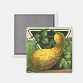  zeeppaketiket Art Yellow Summer Squash Magneet (Voorkant / Achterkant)