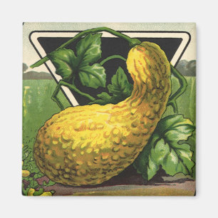  zeeppaketiket Art Yellow Summer Squash Magneet
