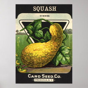 zeeppaketiket Art Yellow Summer Squash Poster